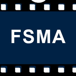 Films d'animation conçus par la FSMA