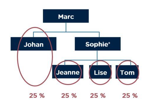 Représentation schématique des héritiers légaux