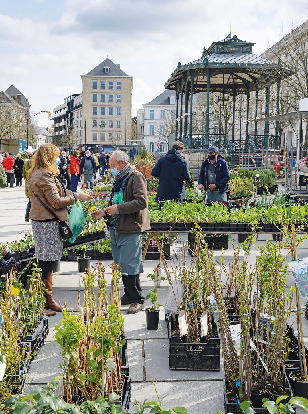 Een vrouw koopt plantjes bij een verkoper op de markt