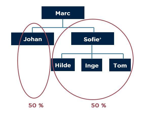 Schematische voorstelling van de nalatenschap Schematische voorstelling van de nalatenschap