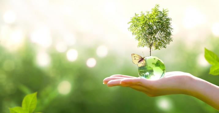 Sustainability: a photo of a hand in a green environment that holds a glass bowl out of which a tree is growing an don which a butterfly has landed