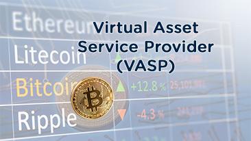 Virtual Service Asset Providers (VASP)