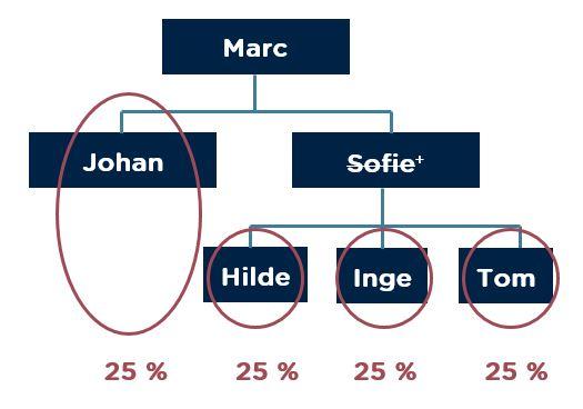 Schematische voorstelling van de wettelijke erfgenamen