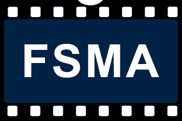 Animated films produced by the FSMA