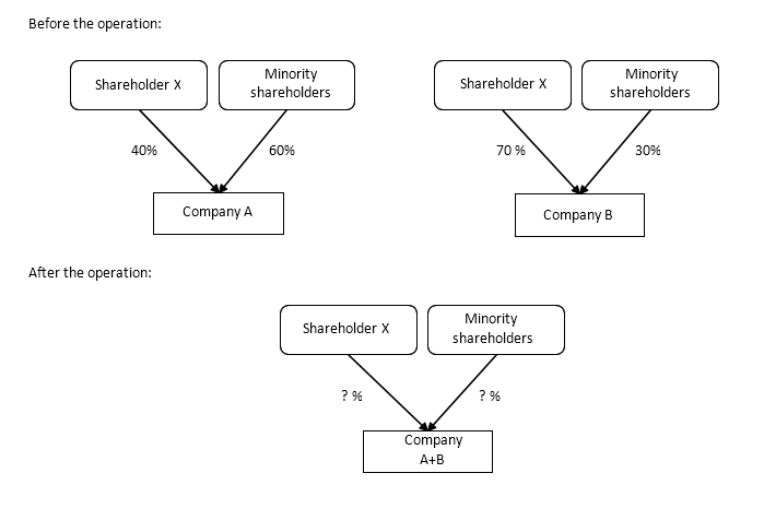 Q&As on contributions in kind, mergers, divisions or equivalent operations: schematic representation of a business combination involving two companies with the same reference shareholder